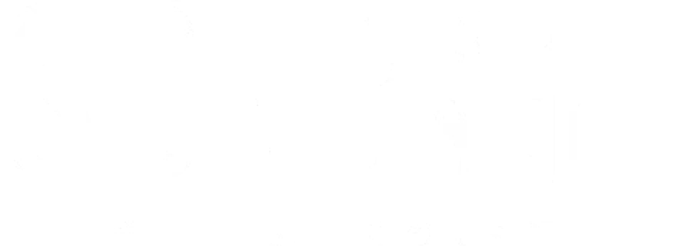 Strip District Neighbors | Logo White